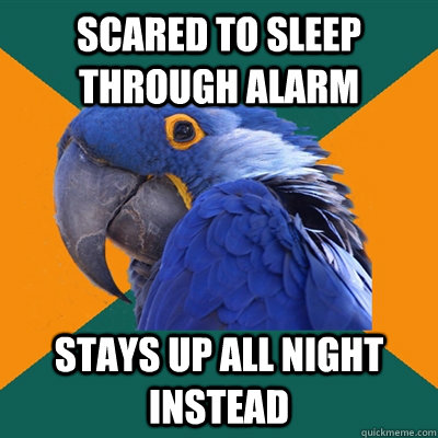 Scared to sleep through alarm stays up all night instead  Paranoid Parrot