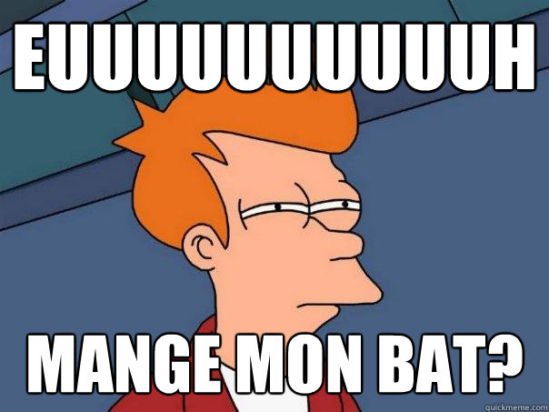 EUUUUUUUUUUH mange mon bat?  Futurama Fry
