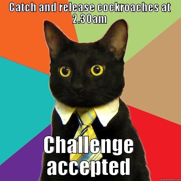 CATCH AND RELEASE COCKROACHES AT 2.30AM CHALLENGE ACCEPTED Business Cat