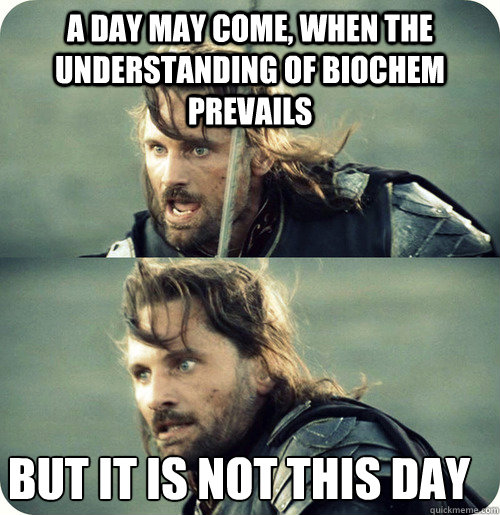 a day may come, when the understanding of biochem prevails but it is not this day - a day may come, when the understanding of biochem prevails but it is not this day  Aragorn Inspirational Speech
