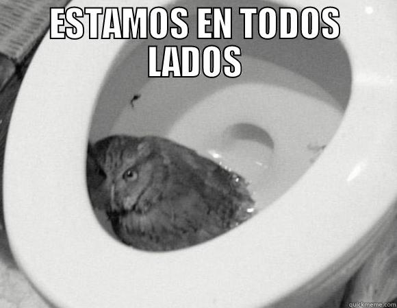 ESTAMOS EN  TODOS LADOS Misc