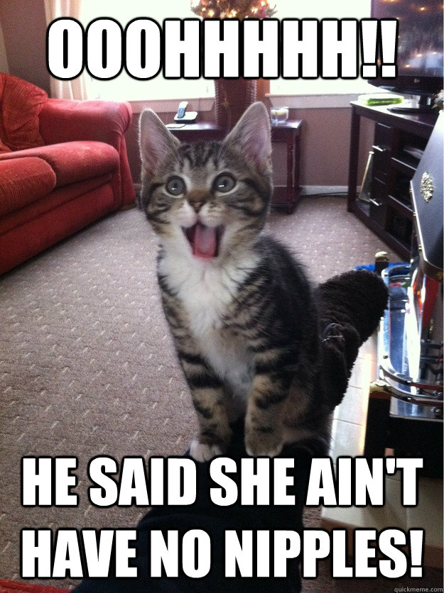 OOOHHHHH!! HE SAID SHE AIN'T HAVE NO NIPPLES! - OOOHHHHH!! HE SAID SHE AIN'T HAVE NO NIPPLES!  KHART