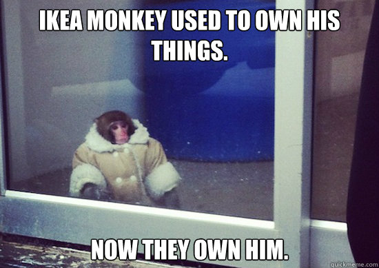 Ikea Monkey used to own his things. Now they own him. - Ikea Monkey used to own his things. Now they own him.  Ikea Monkey