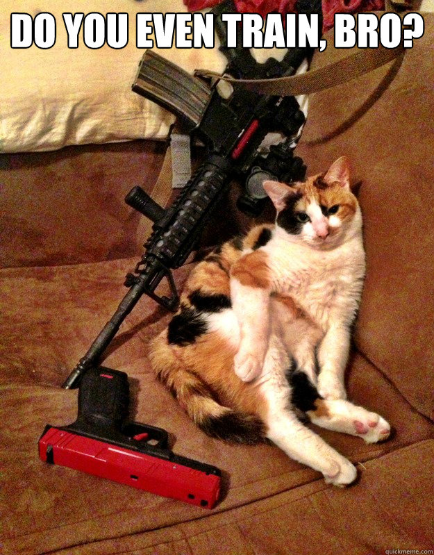 Do you even train, bro?  - Do you even train, bro?   Training Cat