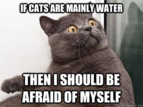 if cats are mainly water then i should be afraid of myself - if cats are mainly water then i should be afraid of myself  conspiracy cat