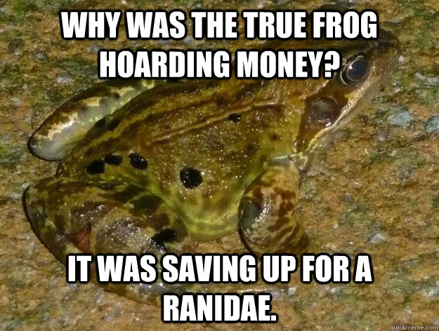 Why was the true frog hoarding money? It was saving up for a Ranidae. - Why was the true frog hoarding money? It was saving up for a Ranidae.  Misc