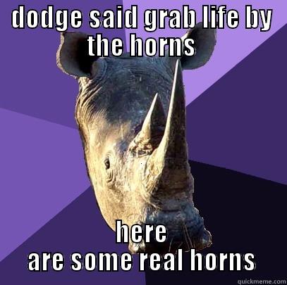 DODGE SAID GRAB LIFE BY THE HORNS HERE ARE SOME REAL HORNS Sexually Oblivious Rhino