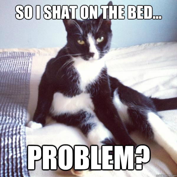 so i shat on the bed... problem?  