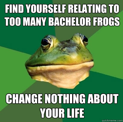 Find yourself relating to too many bachelor frogs change nothing about your life  Foul Bachelor Frog
