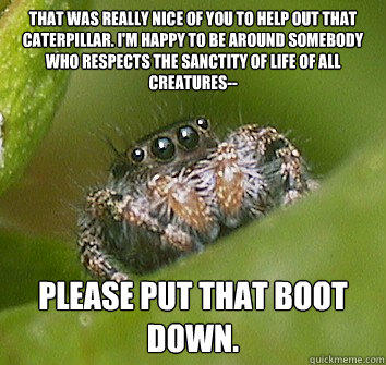 That was really nice of you to help out that caterpillar. I'm happy to be around somebody who respects the sanctity of life of all creatures-- please put that boot down. - That was really nice of you to help out that caterpillar. I'm happy to be around somebody who respects the sanctity of life of all creatures-- please put that boot down.  Misunderstood Spider