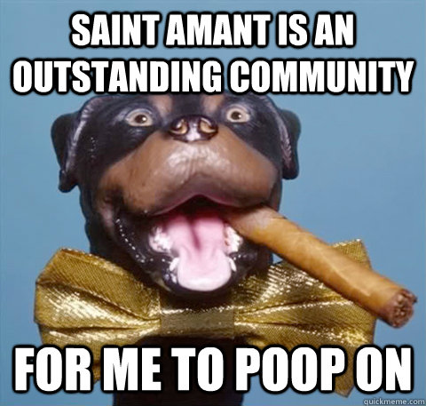 saint amant is an outstanding community for me to poop on  triumph the insult comic dog