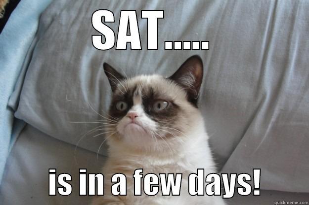 SAT.....          IS IN A FEW DAYS!        Grumpy Cat