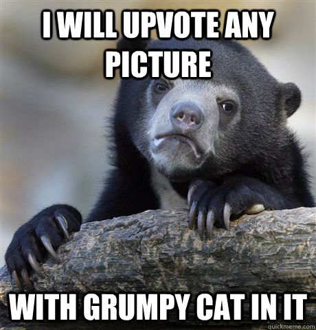 I will upvote any picture with grumpy cat in it - I will upvote any picture with grumpy cat in it  Confession Bear
