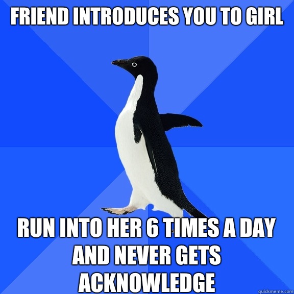 Friend introduces you to girl Run into her 6 times a day and never gets acknowledge  Socially Awkward Penguin