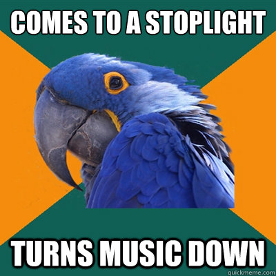 Comes to a stoplight Turns music down  Paranoid Parrot
