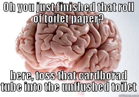 OH YOU JUST FINISHED THAT ROLL OF TOILET PAPER? HERE, TOSS THAT CARDBORAD TUBE INTO THE UNFLUSHED TOILET Scumbag Brain