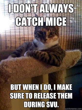 I don't always catch mice but when I do, I make sure to release them during SVU.  The Most Interesting Cat in the World