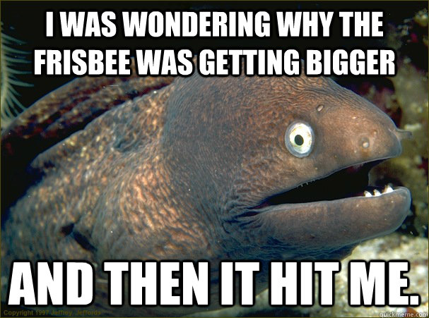 I was wondering why the Frisbee was getting bigger And then it hit me.  Bad Joke Eel