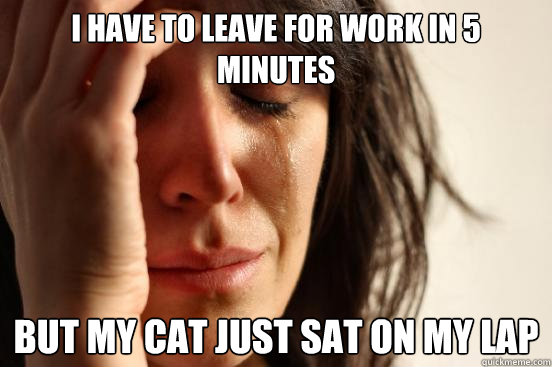 i have to leave for work in 5 minutes but my cat just sat on my lap  First World Problems