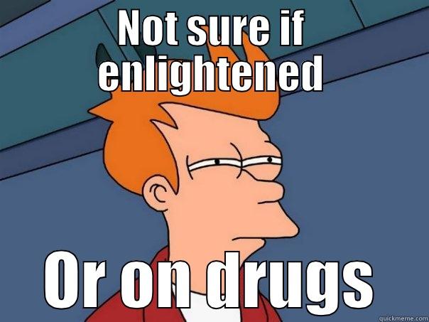 NOT SURE IF ENLIGHTENED OR ON DRUGS Futurama Fry