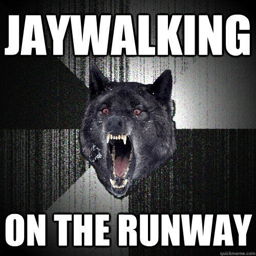 jaywalking on the runway  Insanity Wolf