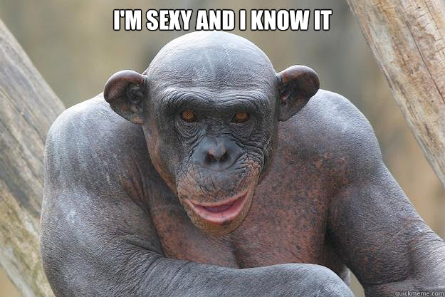 I'm sexy and I know It   The Most Interesting Chimp In The World