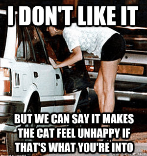 I don't like it But we can say it makes the cat feel unhappy if that's what you're into  Karma Whore