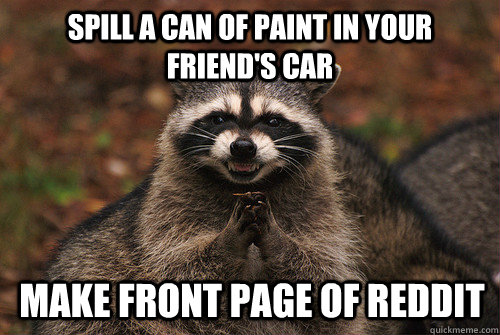 spill a can of paint in your friend's car make front page of reddit  Insidious Racoon 2