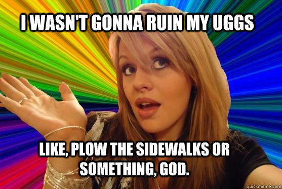 I wasn't gonna ruin my uggs  like, plow the sidewalks or something, god.  Blonde Bitch