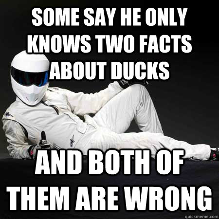 some say he only knows two facts about ducks and both of them are wrong  the stig