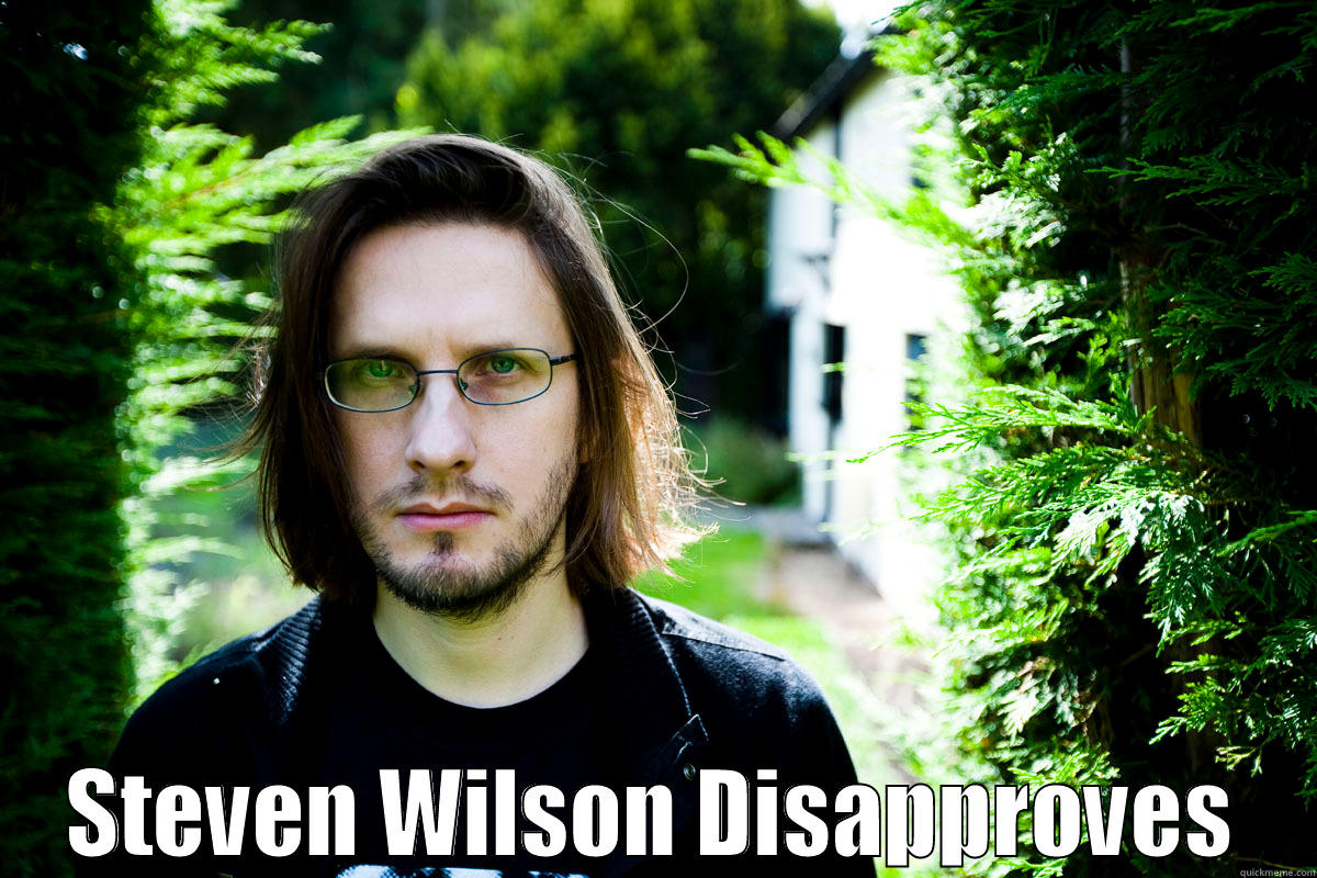  STEVEN WILSON DISAPPROVES Misc