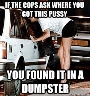 IF THE COPS ASK WHERE YOU GOT THIS PUSSY YOU FOUND IT IN A DUMPSTER  Karma Whore