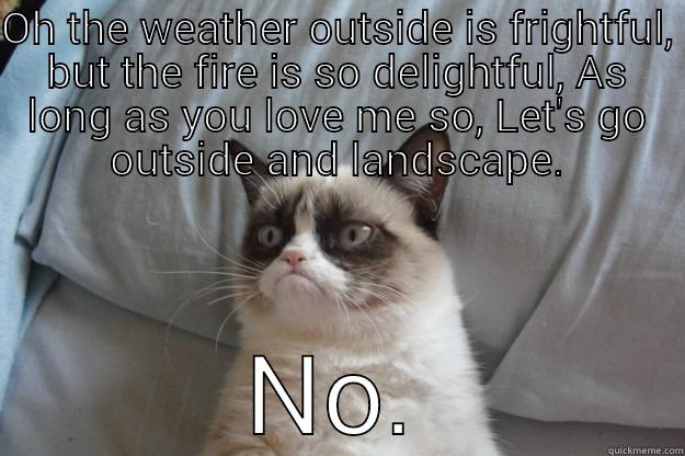 OH THE WEATHER OUTSIDE IS FRIGHTFUL, BUT THE FIRE IS SO DELIGHTFUL, AS LONG AS YOU LOVE ME SO, LET'S GO OUTSIDE AND LANDSCAPE. NO. Grumpy Cat