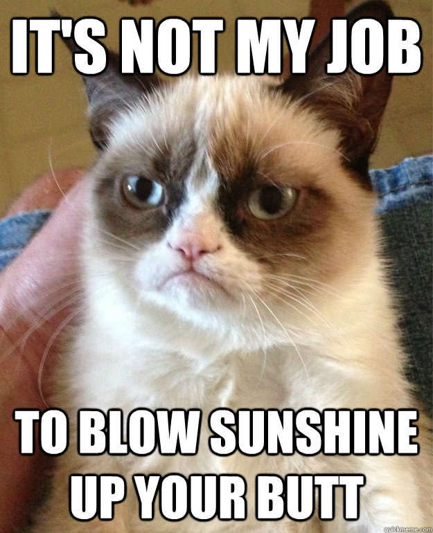 it's not my job to blow sunshine up your butt - it's not my job to blow sunshine up your butt  Misc