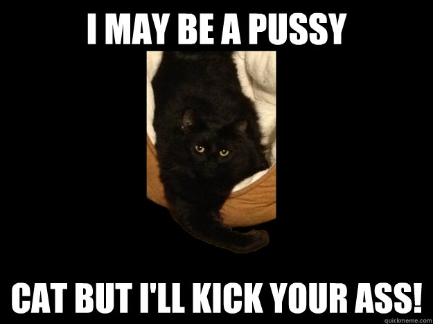 I may be a pussy cat but I'll kick your ass!  