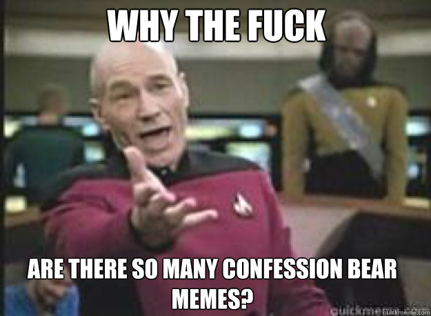 Why the fuck are there so many confession bear memes?  What the Fuck