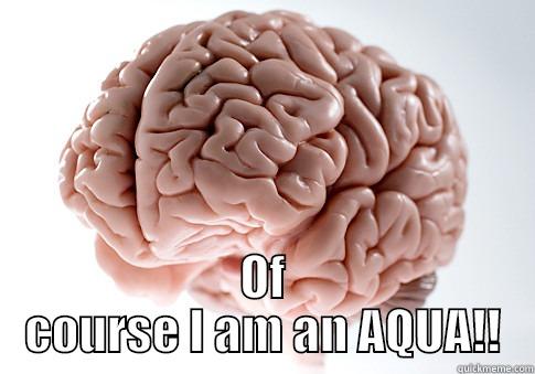 Treeshanda HA! -  OF COURSE I AM AN AQUA!! Scumbag Brain