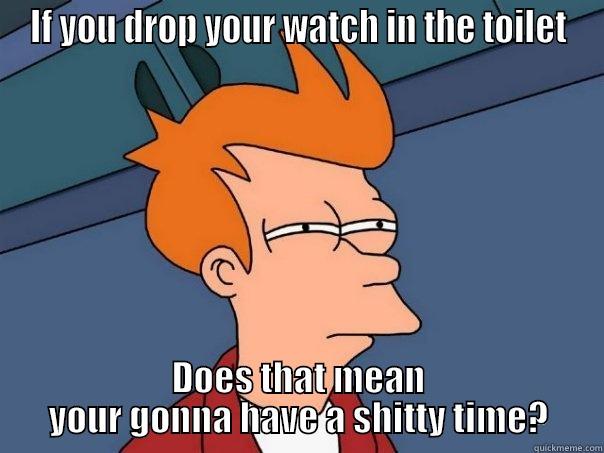 IF YOU DROP YOUR WATCH IN THE TOILET DOES THAT MEAN YOUR GONNA HAVE A SHITTY TIME? Futurama Fry