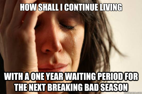how shall i continue living with a one year waiting period for the next breaking bad season  First World Problems
