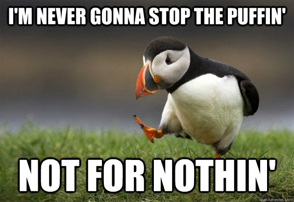 I'm never gonna stop the Puffin' Not for nothin'  Puffin