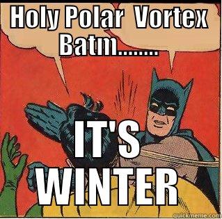 HOLY POLAR  VORTEX BATM........ IT'S WINTER Slappin Batman