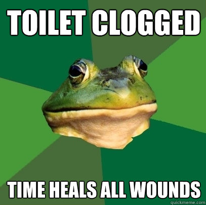 Toilet Clogged Time heals all wounds  Foul Bachelor Frog