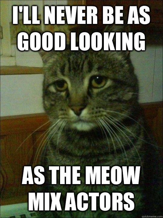 I'll never be as good looking  As the Meow Mix Actors - I'll never be as good looking  As the Meow Mix Actors  Depressed cat