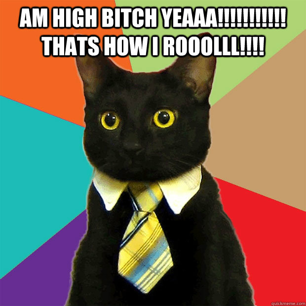 Am HIGH BITCH YEAAA!!!!!!!!!!! THATS HOW I ROOOLLL!!!!  Business Cat