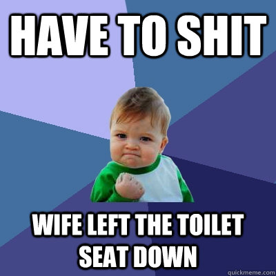Have to shit wife left the toilet seat down  Success Kid