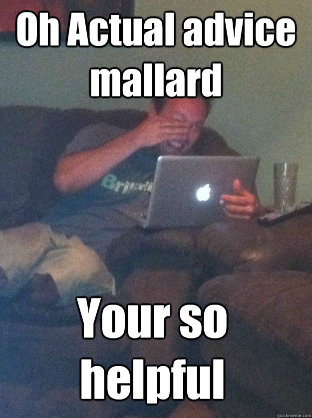 Oh Actual advice mallard Your so helpful  MEME DAD