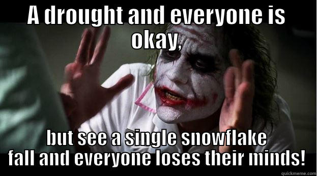 A DROUGHT AND EVERYONE IS OKAY, BUT SEE A SINGLE SNOWFLAKE FALL AND EVERYONE LOSES THEIR MINDS! Joker Mind Loss