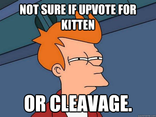 Not sure if upvote for kitten Or cleavage.   Futurama Fry