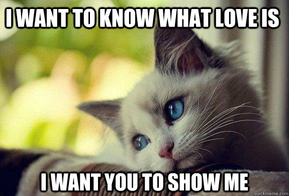 i want to know what love is i want you to show me  Sad cat