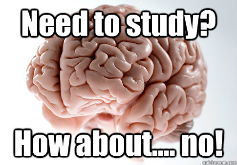 Need to study? How about.... no!   Scumbag Brain